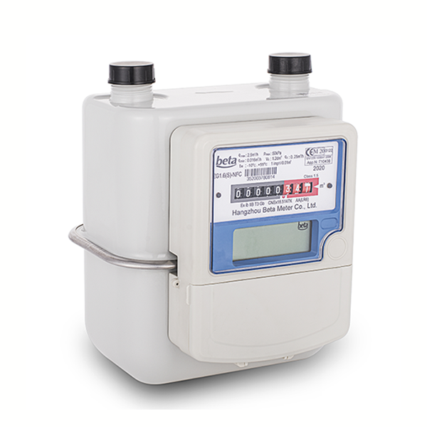 China OEM Smart water meter Factory –ZGS-NFC Card Steel Case Diaphragm Gas Meter – Holley detail pictures
